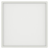 Настінно-стельовий світлодіодний світильник MISTER/PL295 white